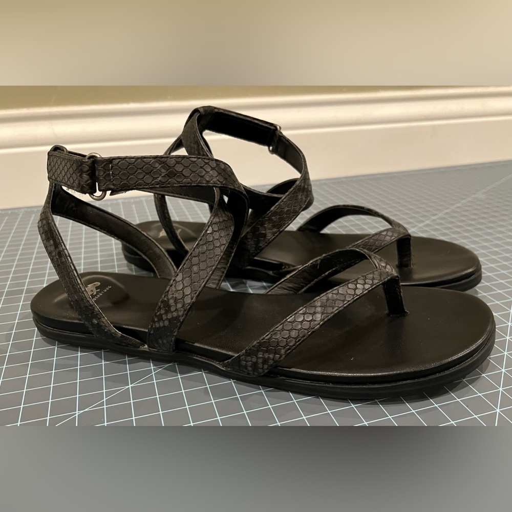 Rocket Dog Kesma black snake print gladiator sandals women’s size 9